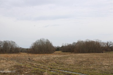 100.06+/- acres at the northwest corner of Highway 301 and - photo 2