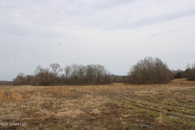 100.06+/- acres at the northwest corner of Highway 301 and - photo 3