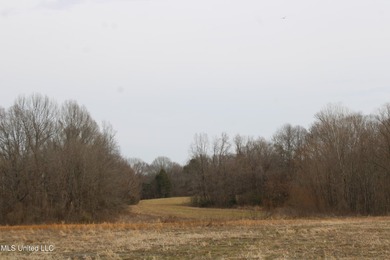 100.06+/- acres at the northwest corner of Highway 301 and - photo 4