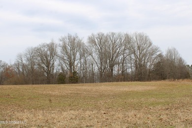 100.06+/- acres at the northwest corner of Highway 301 and - photo 5