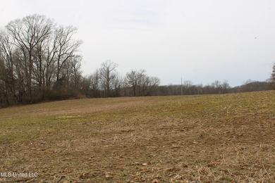 100.06+/- acres at the northwest corner of Highway 301 and - photo 6
