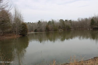 100.06+/- acres at the northwest corner of Highway 301 and - photo 7