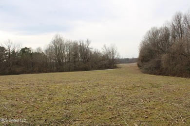 100.06+/- acres at the northwest corner of Highway 301 and - photo 8