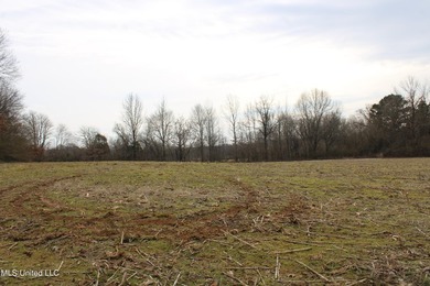 100.06+/- acres at the northwest corner of Highway 301 and - photo 9