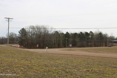 100.06+/- acres at the northwest corner of Highway 301 and - photo 10