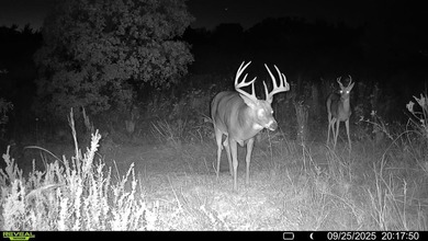Tract 1 - 125+/- Acres | Woodward County, OK Located in the - photo 5