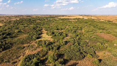 Tract 1 - 125+/- Acres | Woodward County, OK Located in the - photo 7