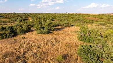 Tract 1 - 125+/- Acres | Woodward County, OK Located in the - photo 9