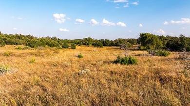 Tract 1 - 125+/- Acres | Woodward County, OK Located in the - photo 10