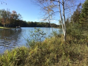 Lake of the Hills Acreage For Sale in Weidman Michigan