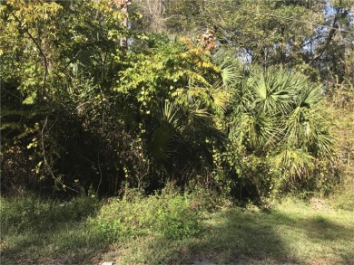 Lake Panasoffkee Lot For Sale in Lake Panasoffkee Florida