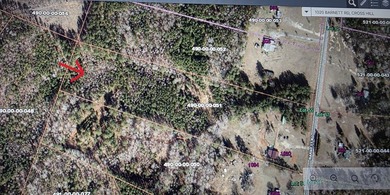 Priced to Sell Quick! Acreage, home, barn, and lake life! This - photo 4