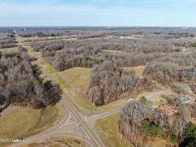 120+/- acres located at the northeast corner of Highway 301 and - photo 2