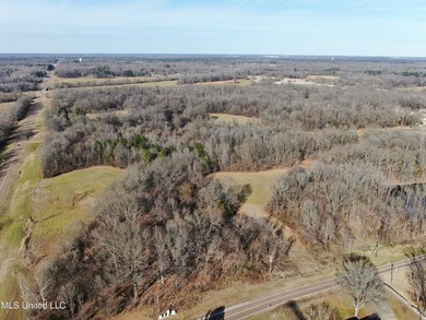 120+/- acres located at the northeast corner of Highway 301 and - photo 3