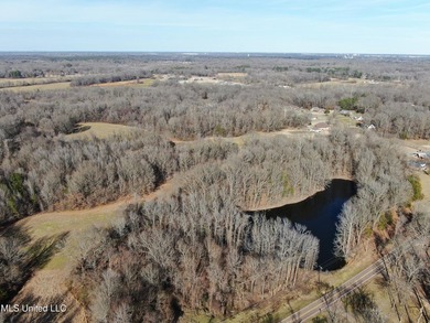 120+/- acres located at the northeast corner of Highway 301 and - photo 4