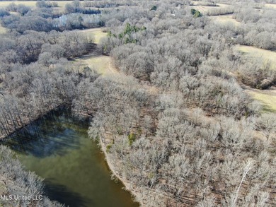 120+/- acres located at the northeast corner of Highway 301 and - photo 5