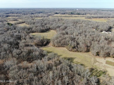 120+/- acres located at the northeast corner of Highway 301 and - photo 6
