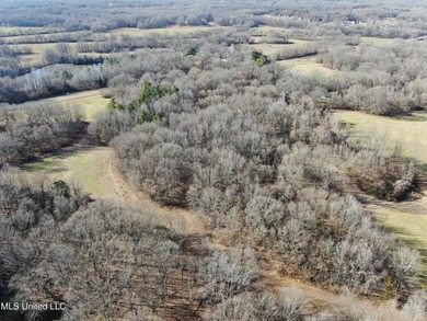 120+/- acres located at the northeast corner of Highway 301 and - photo 7