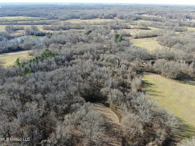 120+/- acres located at the northeast corner of Highway 301 and - photo 8
