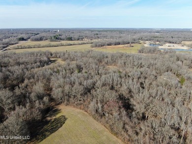 120+/- acres located at the northeast corner of Highway 301 and - photo 9