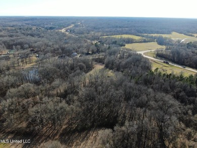 120+/- acres located at the northeast corner of Highway 301 and - photo 10