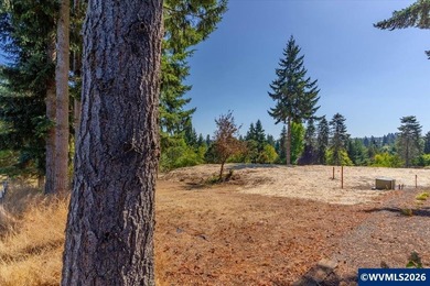 West Salem View Lot! This large lot is perfectly situated to - photo 8