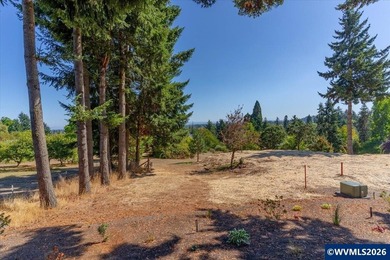 West Salem View Lot! This large lot is perfectly situated to - photo 9