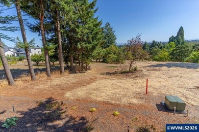 West Salem View Lot! This large lot is perfectly situated to - photo 10