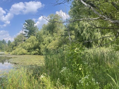 Lake Lot For Sale in Evart, Michigan