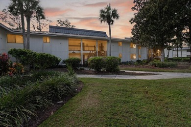 Lake Condo For Sale in Wesley Chapel, Florida