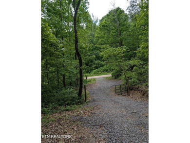 Calling all lake and outdoor lovers!! This beautiful, private - photo 2
