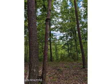 Calling all lake and outdoor lovers!! This beautiful, private - photo 4