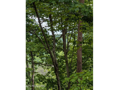 Calling all lake and outdoor lovers!! This beautiful, private - photo 5