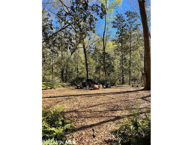 Lot 6 of Van Antwerp Park. Van Antwerp Park is an 11 acre - photo 11
