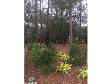 Lot 6 of Van Antwerp Park. Van Antwerp Park is an 11 acre - photo 13