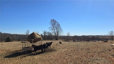 Exceptional equestrian property featuring a 49,466 SF enclosed - photo 26