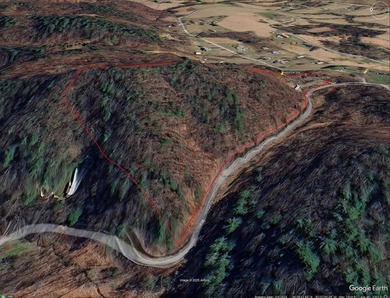 13.8 Acre unrestricted property less than 2 miles to Public Boat - photo 14