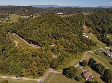 13.8 Acre unrestricted property less than 2 miles to Public Boat - photo 15