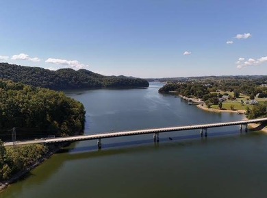 13.8 Acre unrestricted property less than 2 miles to Public Boat - photo 22