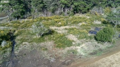 This .47 acre lot provides wonderful opportunity. Build your - photo 5