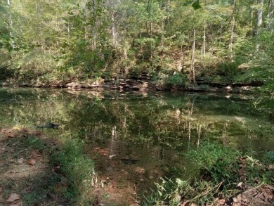 Lake Acreage For Sale in Rock Island, Tennessee