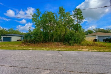 Lake Marion - Polk County Lot For Sale in Kissimmee Florida