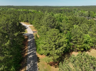 1.04-acre dockable waterfront lot on Lake Greenwood in - photo 3