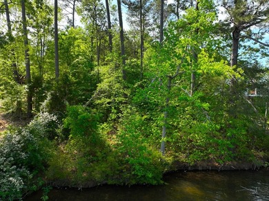 1.04-acre dockable waterfront lot on Lake Greenwood in - photo 10