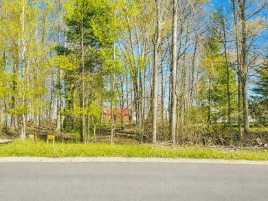 Build your dream home on this beautiful lot in the highly - photo 1