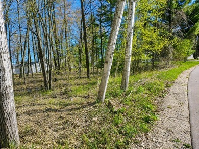 Build your dream home on this beautiful lot in the highly - photo 5