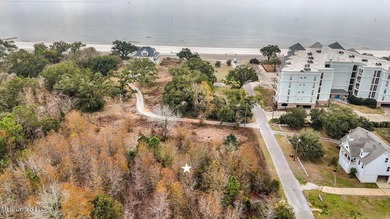 Discover the perfect canvas for your coastal dream on Boisdore - photo 2