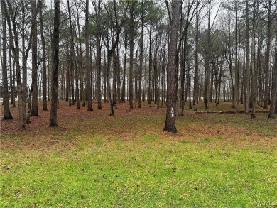 Lake Lot For Sale in Akron, Alabama