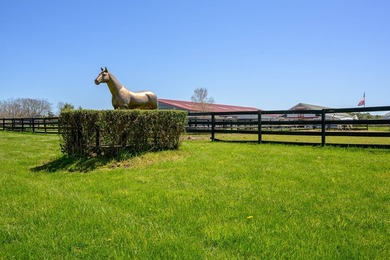 In the Hamptons, the real value isn't just what you build-it's - photo 2