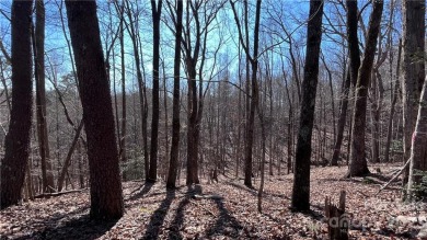 Beautiful lot in Shumont Estates, situated at end of Cul-de-sac - Lake Lot For Sale in Lake Lure, North Carolina